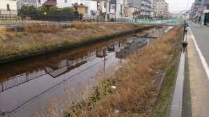 赤い菖蒲川