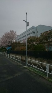 ＬＥＤ照明①