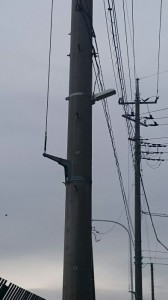 ＬＥＤ照明②